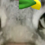@HIimreallycute5