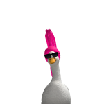 @TaCo13446