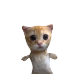 @skqvm