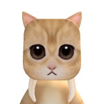 @catlovercatcatcher