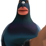 @Zwarepoep55