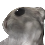 @MatGoLDh2