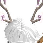 @ollibeans