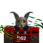@Rafael20GamerBR