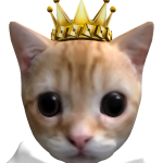 @ylobro123
