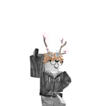 @0nlxBaxus