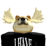 @Dogeieguy101