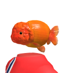 @Agoojr