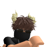 @roblox_user_333166340