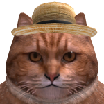 @100Cats000