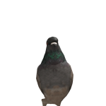@XEL1T3_X