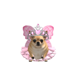 @Mely59s