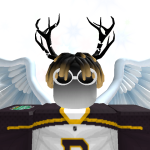 @HockeyBruinslover