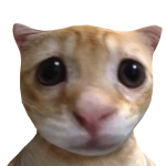 @AgentAoooo2