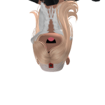 @bigBodybigBam
