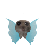 @AreyouokZille