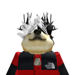 @IMA_DOGE675