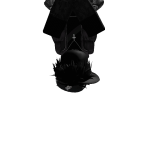@r4ys1s_t