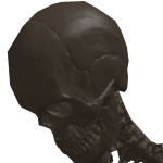 @MisterLegitGamer
