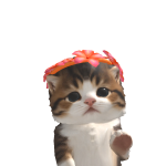 @J3sssssssss