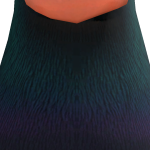 @Johnnelloco2