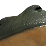 @Leviduclong
