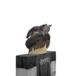 @IMNOT_NOOB0