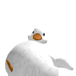 @brokncookii