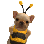 @Ducky_Suit4851