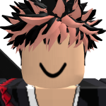 @roblox_user_175188013