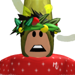 @birdguy500