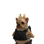 @Therealxmoney20