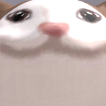 @muyamuya23
