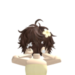 @llvssqq