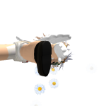 @AFFDAFFD