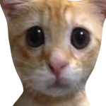 @KRIASV1BE