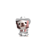 dnnll_23
