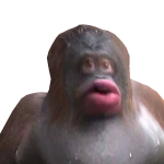 @SvmplyyKatie