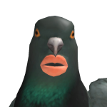 @birdsjoe