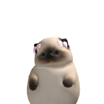@Lilyudhg123