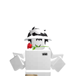 @0_0kairo