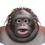 @Raffatouile