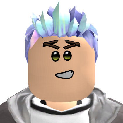 Roblox profile picture for @sinaryakk
