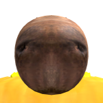 @troopermanic