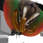 @bug6303
