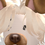 @officiallyAFK1