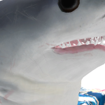 @Cole1807