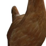 @mimiroblox1234usa