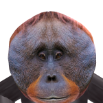 @Thedinoboygamer
