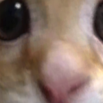 @cvxsup